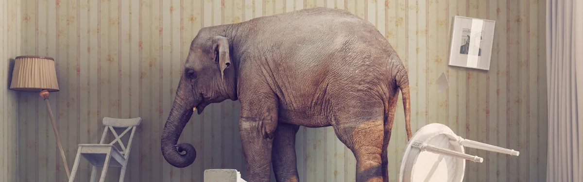 Varför låter vi "elefanter" ta plats?