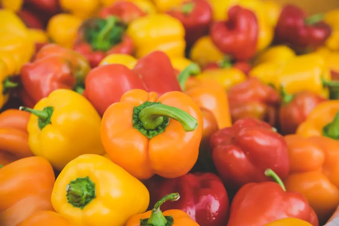 Näringsinnehåll i paprika och varför det spelar roll